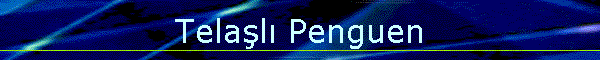 Telaşlı Penguen